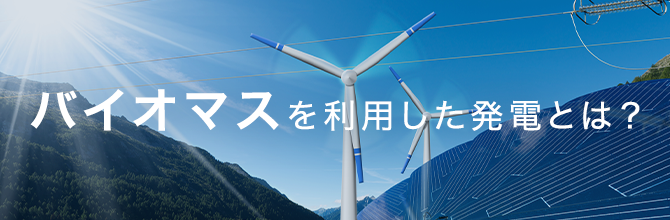 バイオマスを利用した発電とは？発電の仕組みや3つの種類を紹介