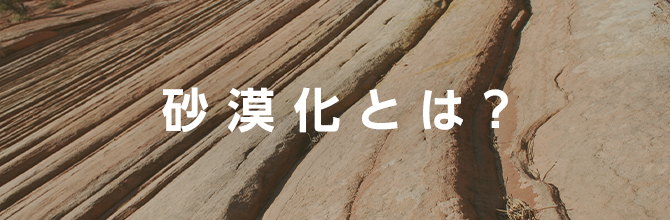 砂漠化とは？砂漠化の現状や影響と私たちにもできる簡単な3つのこと