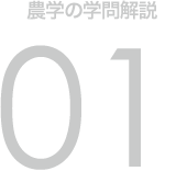 農学の学問解説 01