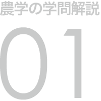 農学の学問解説 01