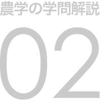 農学の学問解説 02