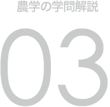 農学の学問解説 03