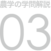 農学の学問解説 03