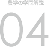 農学の学問解説 04