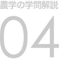 農学の学問解説 04