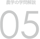 農学の学問解説 05