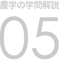 農学の学問解説 05