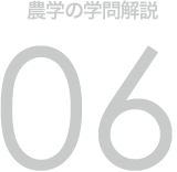 農学の学問解説 06