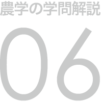 農学の学問解説 06