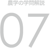 農学の学問解説 07