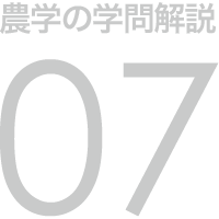 農学の学問解説 07