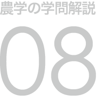 農学の学問解説 08