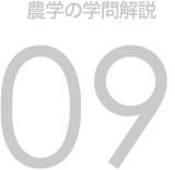 農学の学問解説 09