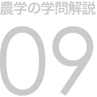 農学の学問解説 09