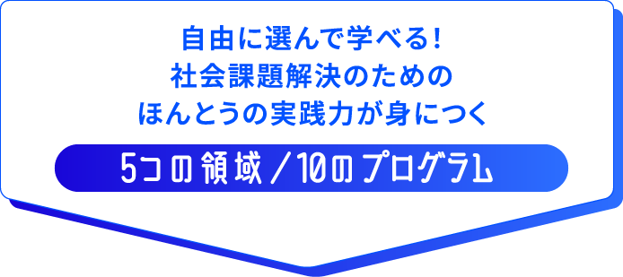 5つの領域／10のプログラム 自由に選んで学べる！社会課題解決のためのほんとうの実践力が身につく