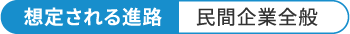 想定される進路 民間企業全般