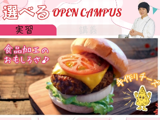 画像ALT