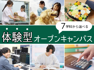 画像ALT