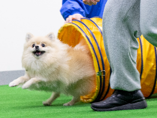 画像ALT