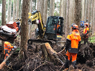 兵庫県立森林大学校