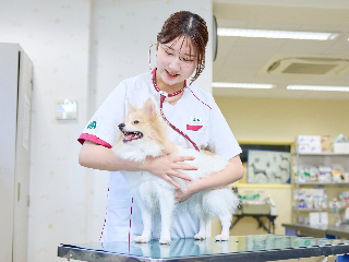 画像ALT