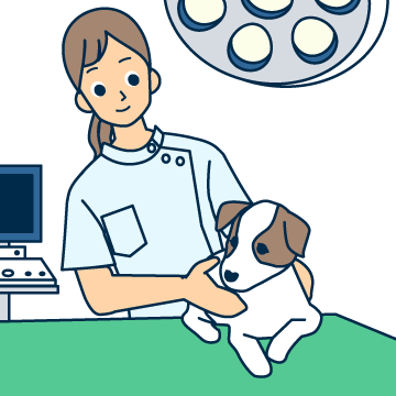 愛玩動物看護師