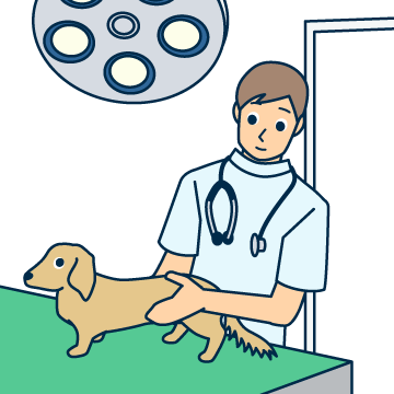 獣医学